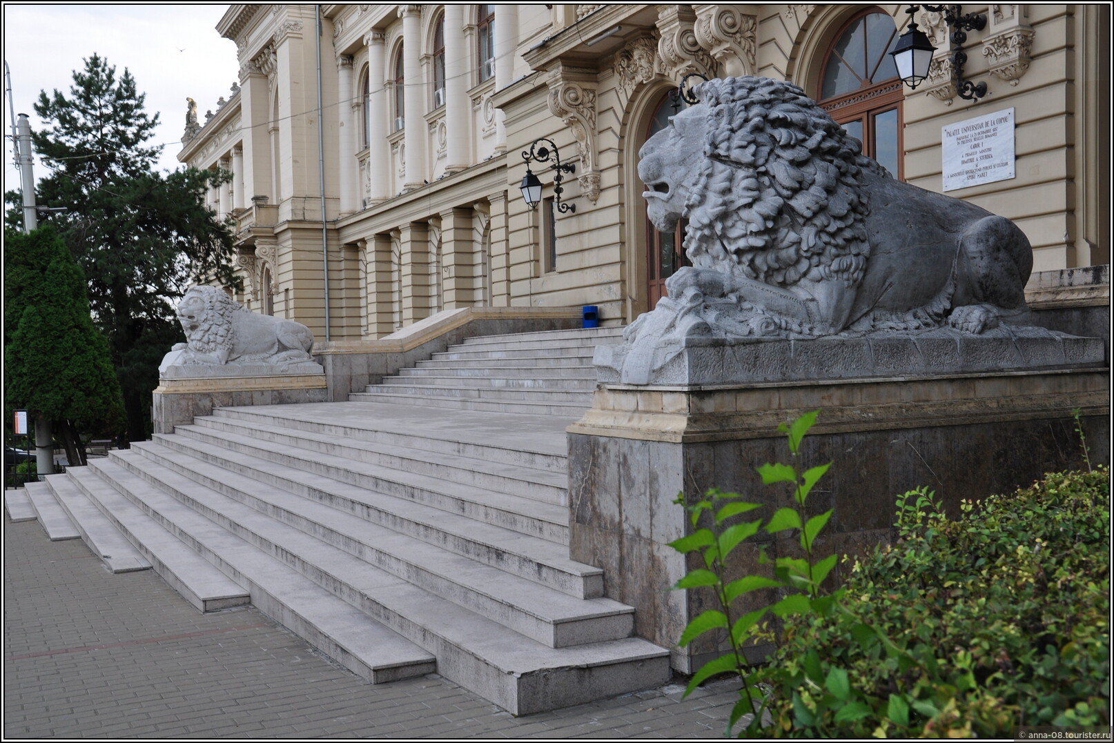 Iași